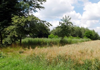 działka na sprzedaż - Bełchatów (gw), Huta