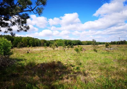 działka na sprzedaż - Drużbice, Drużbice-Kolonia