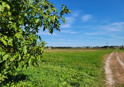 działka na sprzedaż - Drużbice, Suchcice