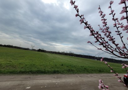 działka na sprzedaż - Bełchatów (gw), Wólka Łękawska