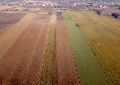 działka na sprzedaż - Wola Krzysztoporska, Bogdanów