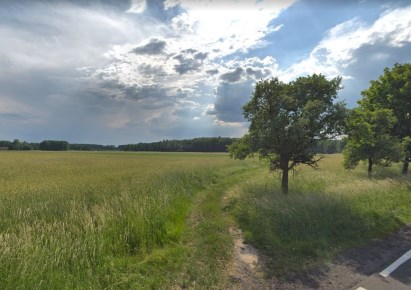 działka na sprzedaż - Dalików, Kałoszyn