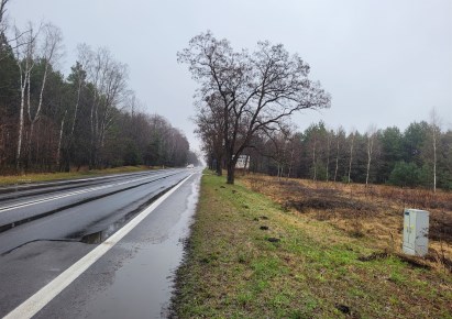 działka na sprzedaż - Bełchatów