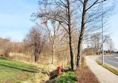 działka na sprzedaż - Bełchatów