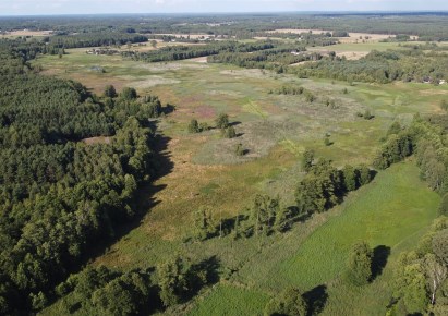 działka na sprzedaż - Kluki, Strzyżewice