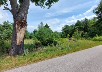 działka na sprzedaż - Rokiciny, Nowe Chrusty