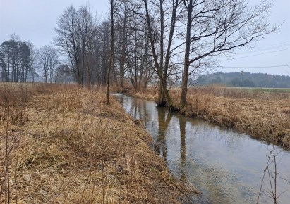 działka na sprzedaż - Drużbice, Chynów