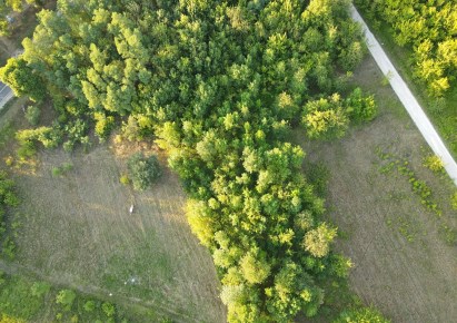 działka na sprzedaż - Nowe Miasto nad Pilicą