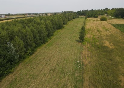 działka na sprzedaż - Nowe Miasto nad Pilicą, Pobiedna