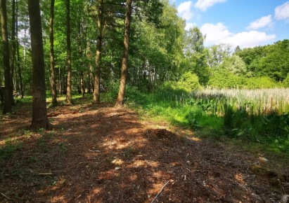 działka na sprzedaż - Stryków (gw), Anielin Swędowski